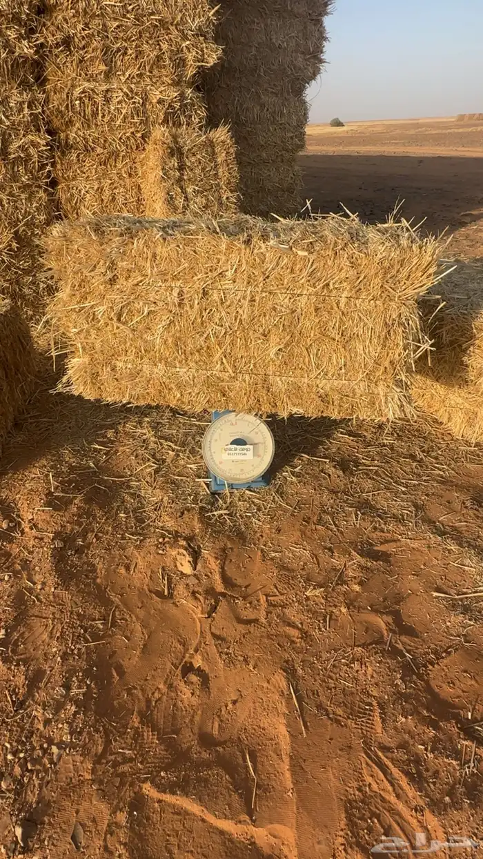 تبن بر جندير الدفع عند الوصول 1