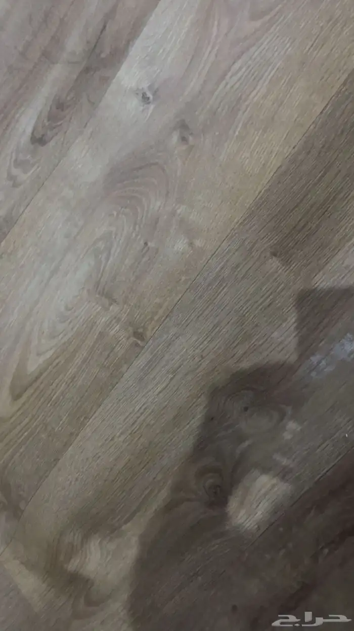 باركيه 9