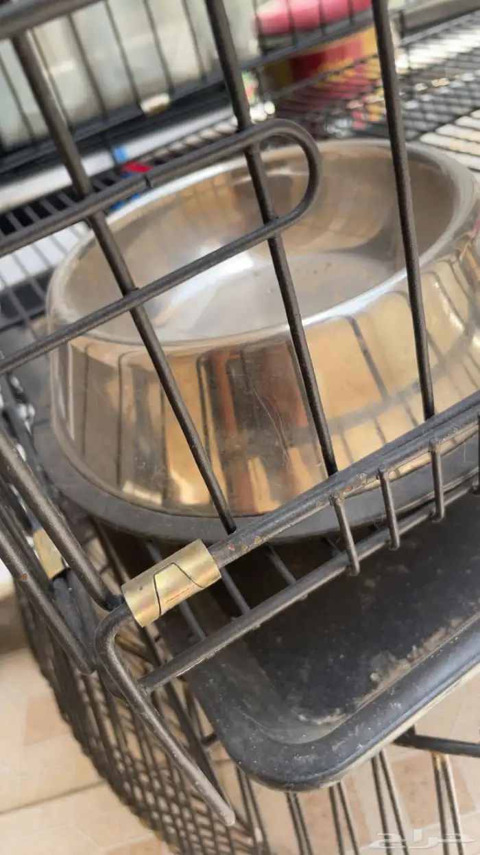 شبك حيوانات اليفه 2