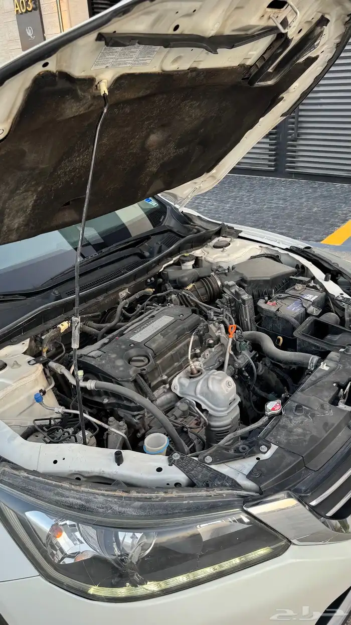 هوندا أكورد ( بودي وكاله ) تم البيع 18