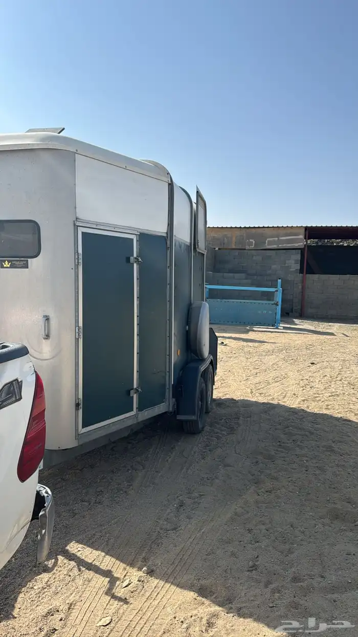 عربه خيل طالع لشرقيه 0