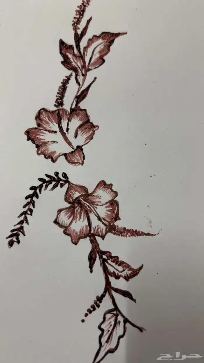 نقش حنا 2