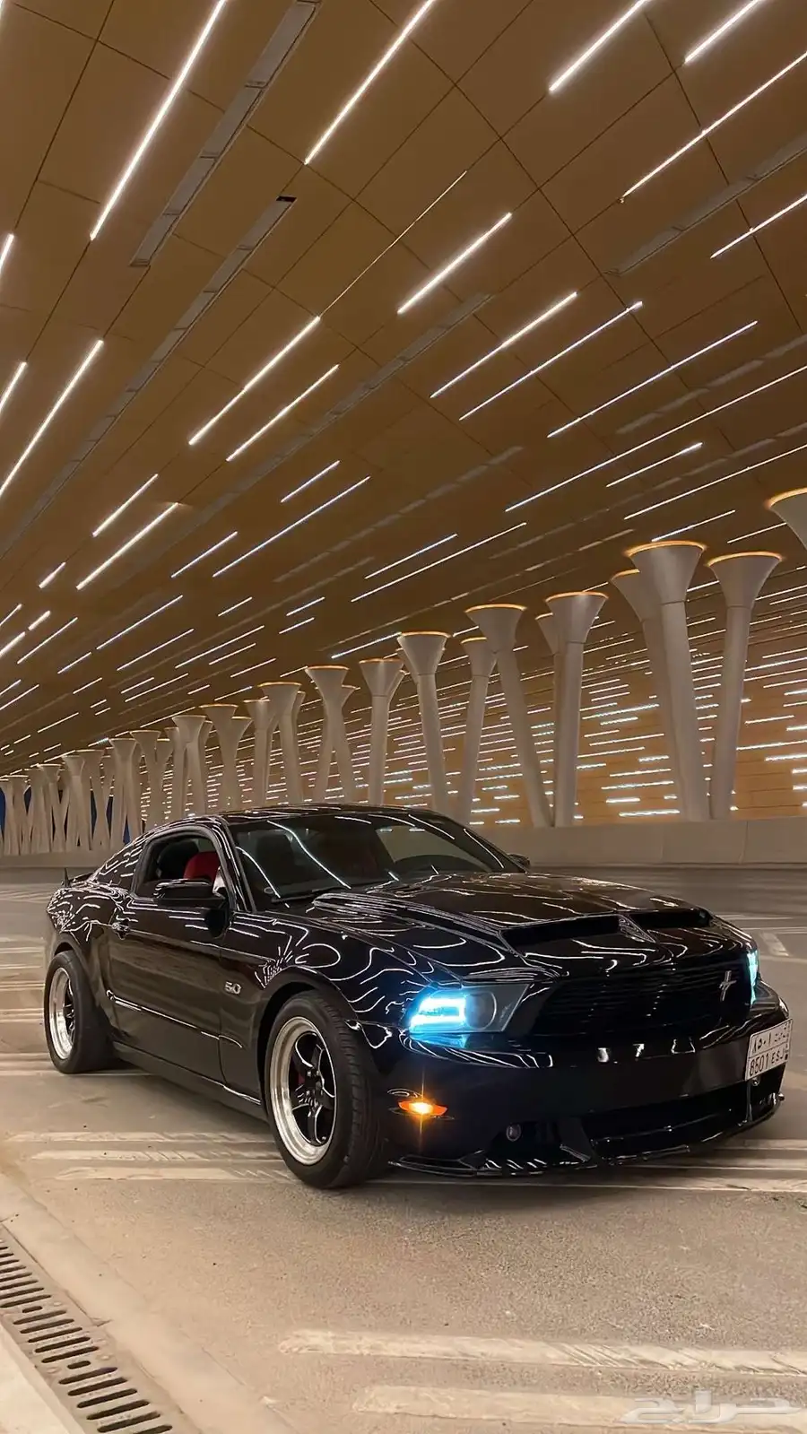 موستنج 5.0 9