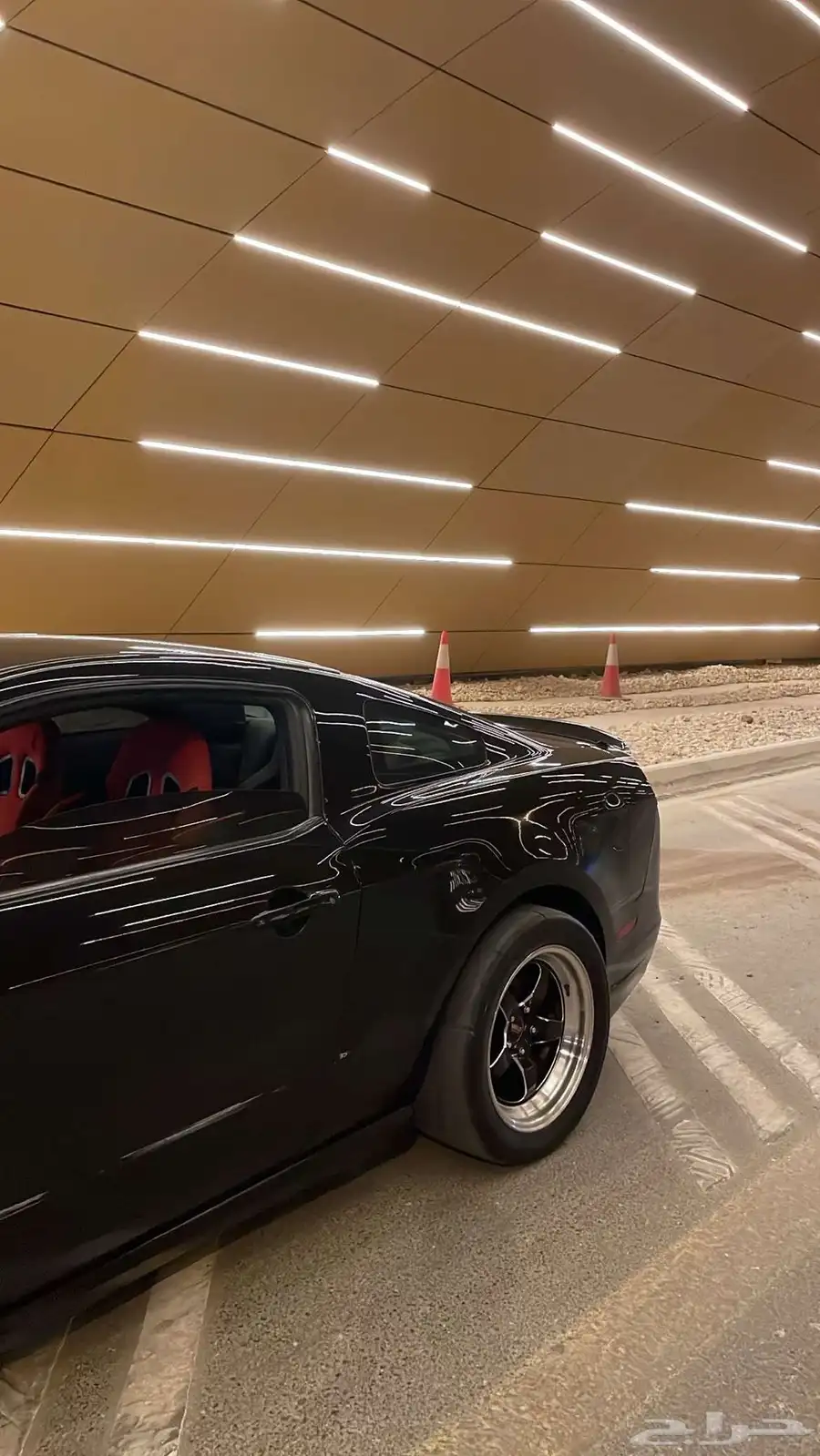 موستنج 5.0 3