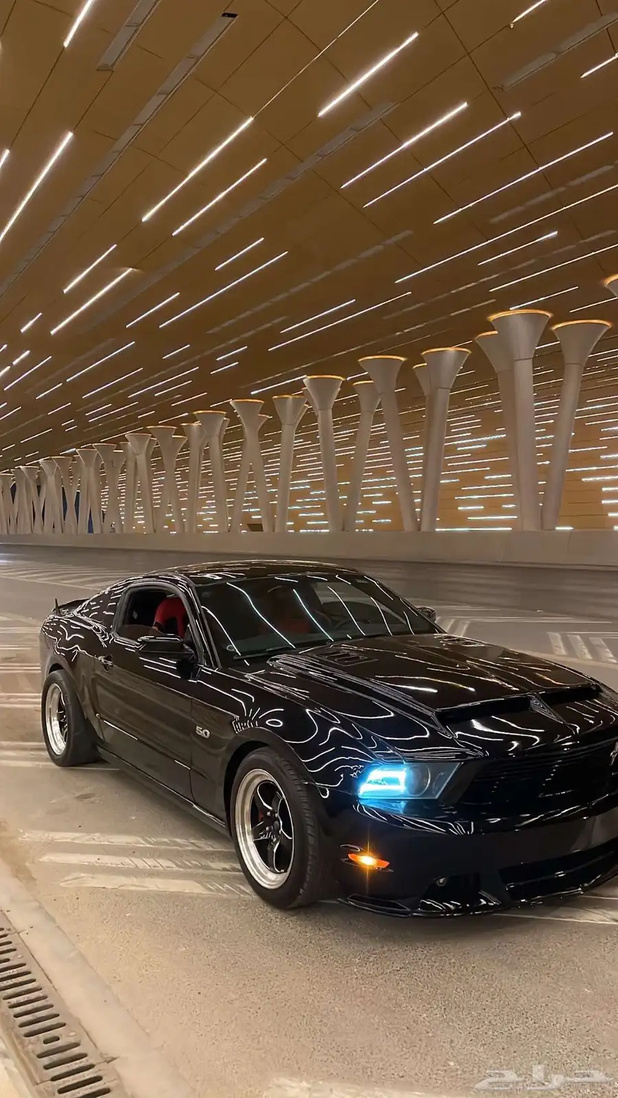 موستنج 5.0 8