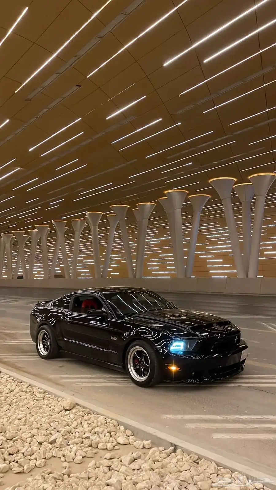 موستنج 5.0 6