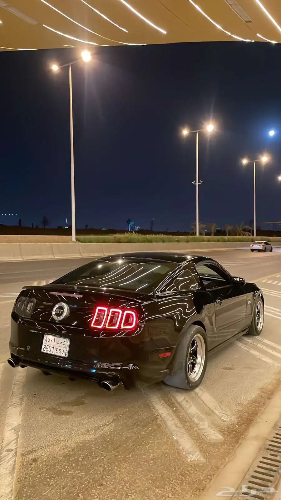 موستنج 5.0 4
