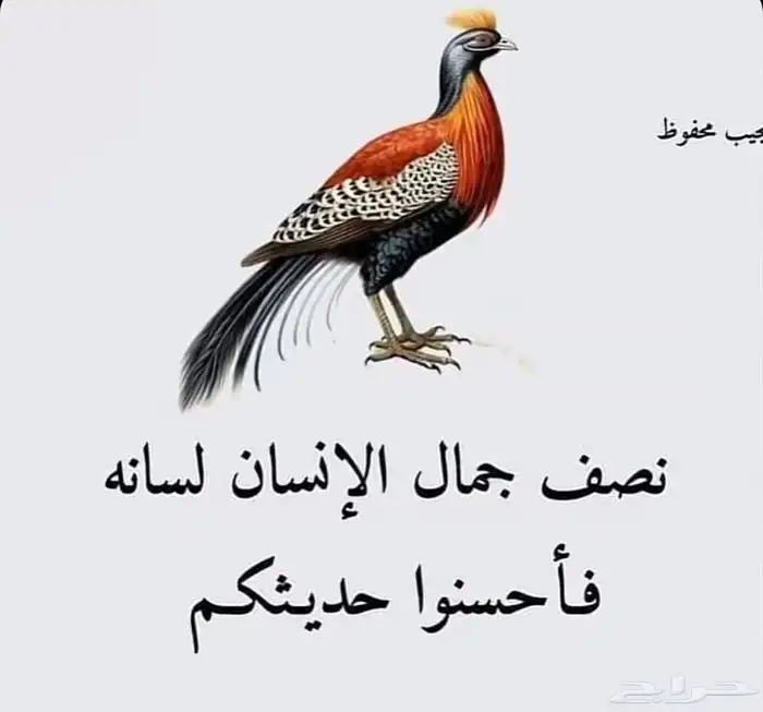 دولاب مفارش 0