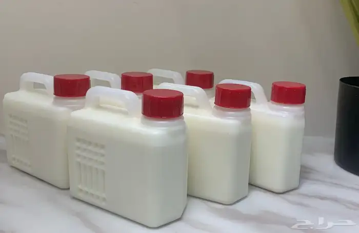 حليب ولبن بقري طازج يوميا 1