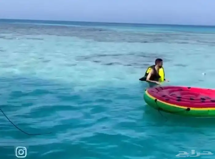 رحلات بحريه ورحلات جزيره بياضه شباب وعوائل جده 13