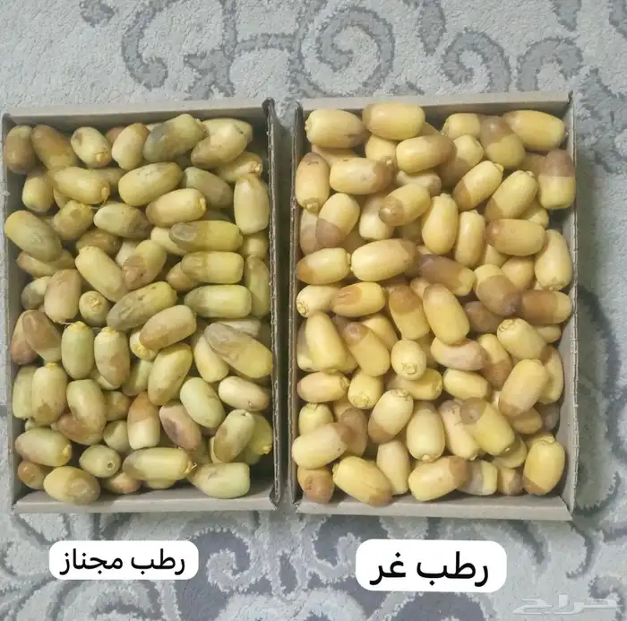 رطب اخلاص و غر ورطب مجناز الاحساء من مزرعتنا 0