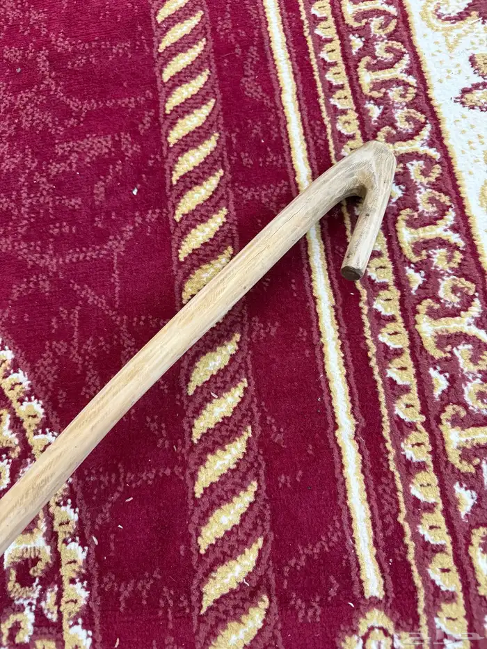 مشعب عتم 1