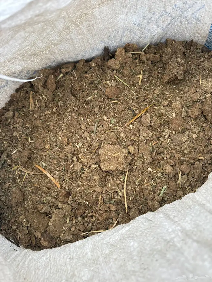 سماد بقر نضيف 3