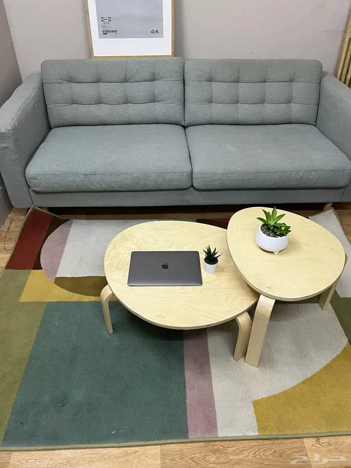 كنبه شخصين من آيكيا مع الديكور 1