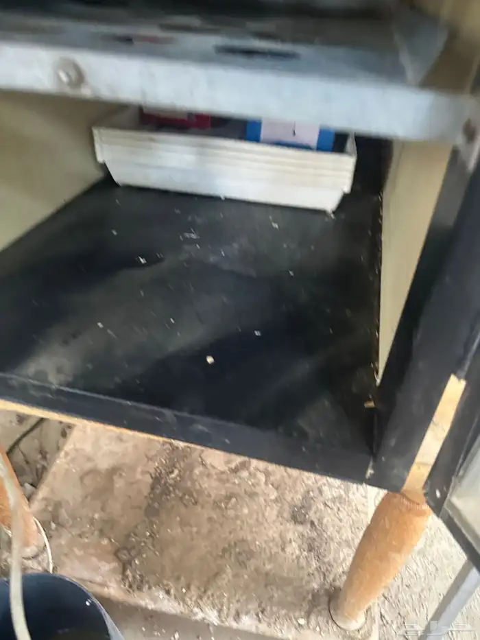 فقاسة برنسي 1