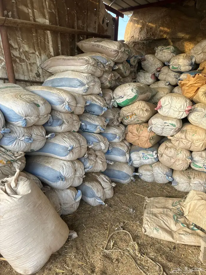 سماد بقر نضيف 1