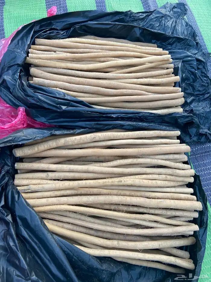مساويك ابو حنش حار ونقاوه 11