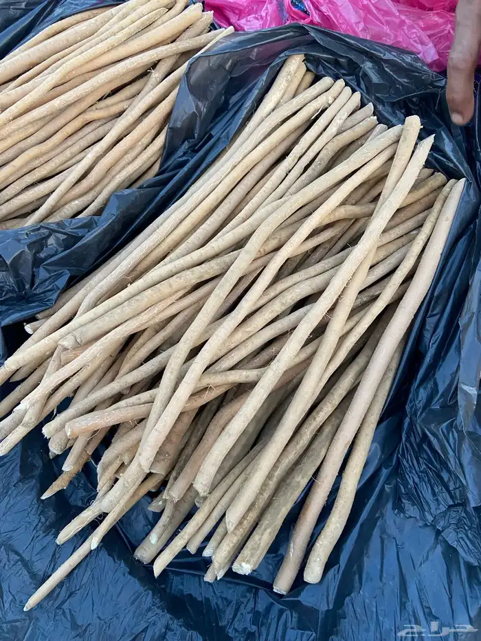 مساويك ابو حنش حار ونقاوه 8
