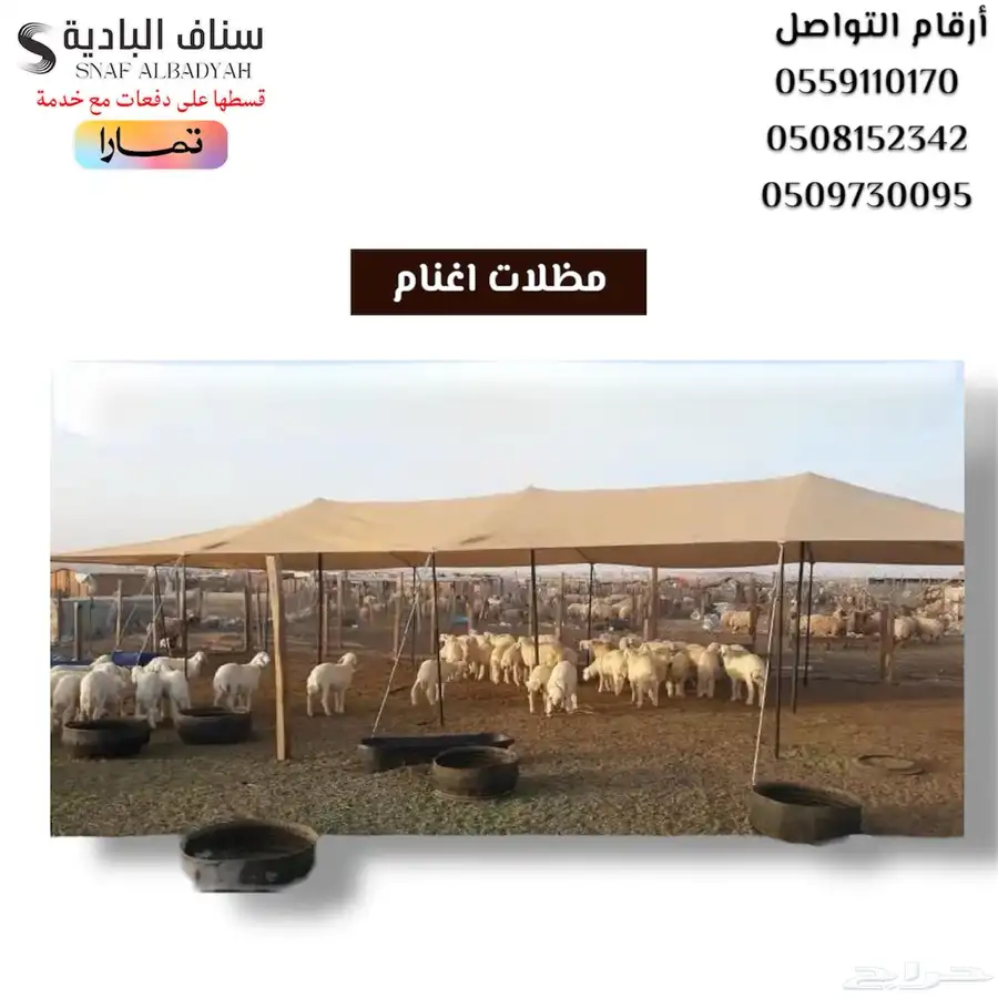 مظلات حلال اغنام مستلزمات الحلال 1