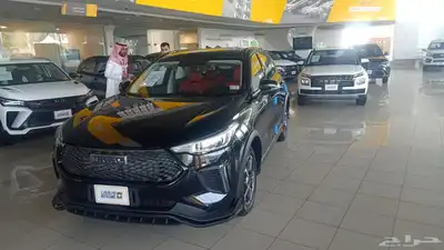 هافال جوليان برو اكتف بلس 0