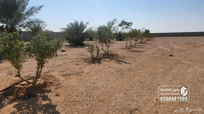 مزرعة للبيع مساحتها 20 الف متر في ثادق 13