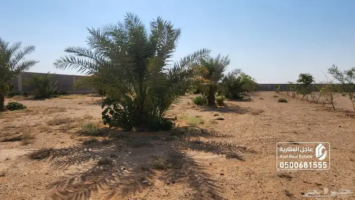 مزرعة للبيع مساحتها 20 الف متر في ثادق 15