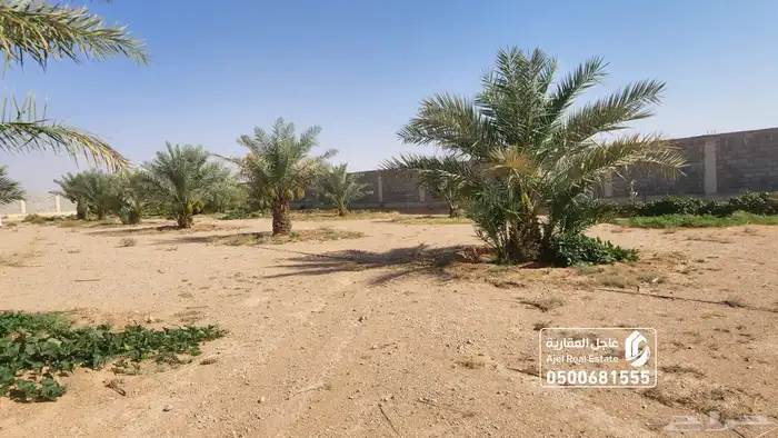 مزرعة للبيع مساحتها 20 الف متر في ثادق 20