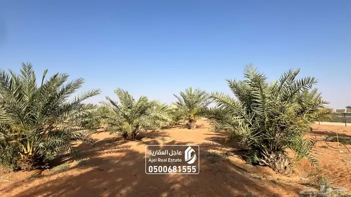مزرعة للبيع مساحتها 50.000 الف متر في عودة سدير 24