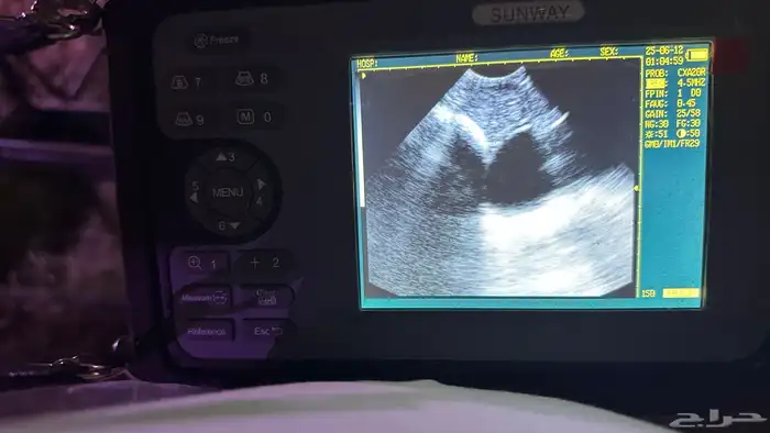 فحص سونار للاغنام والماعز وللأبقار وللخيل والابل 2