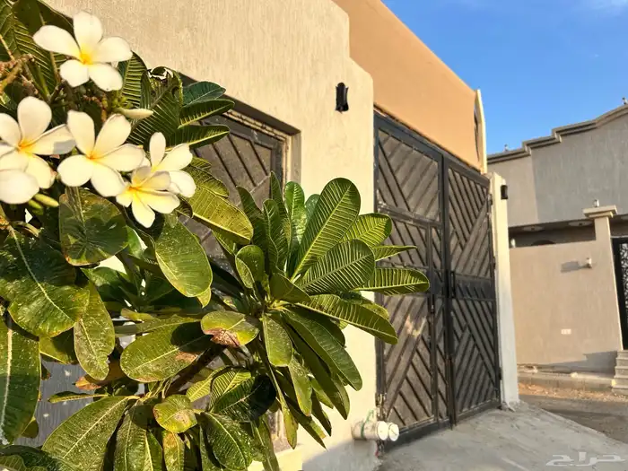 شاليه كوخ بيفير الريفي 11