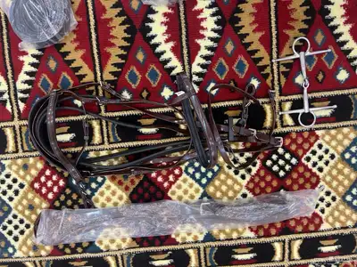 طقم ركوب ستيتوس 3