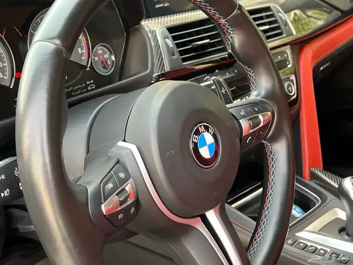 BMW M3. 2018 14