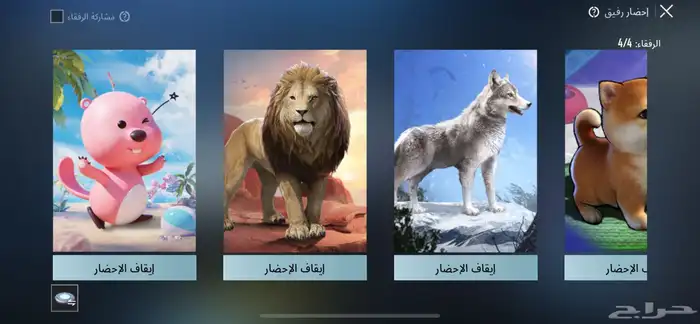 حساب ببجي للبيع 21