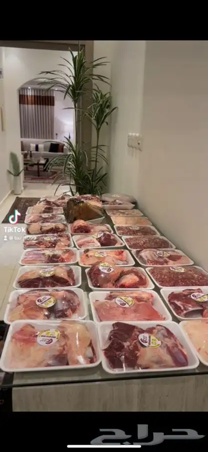 ذبايح حايل الفهد 5