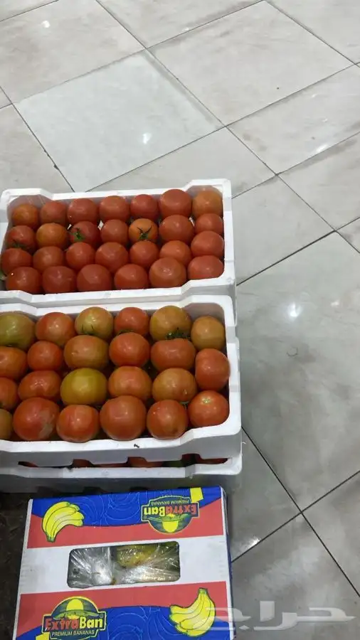 خضار وفواكه. توريد مطاعم. فنادق محلات. سوبرات. صالات 11