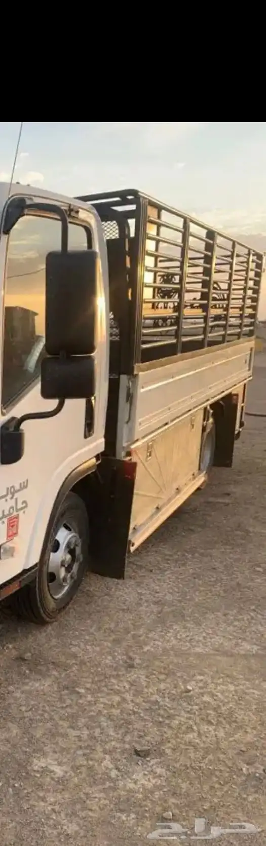 دينا شبك للمشاوير 0