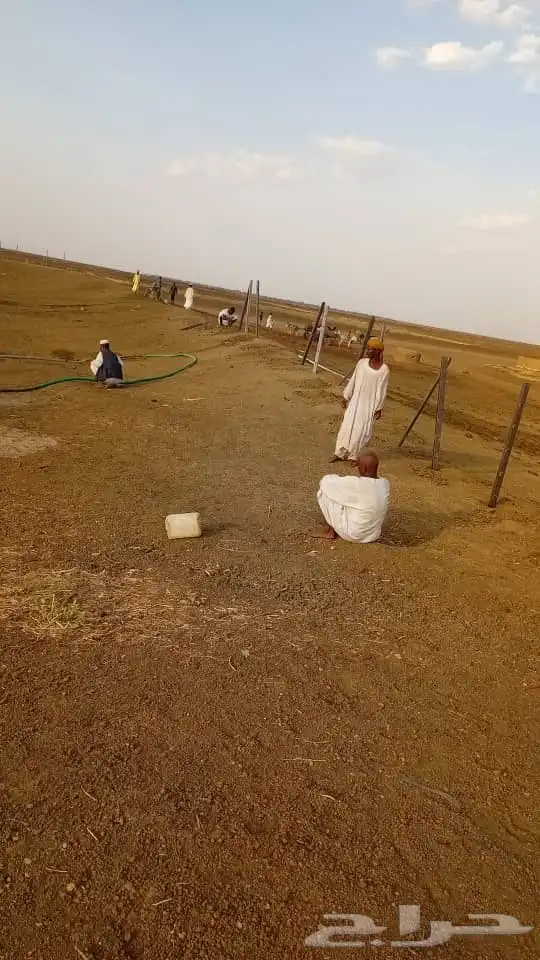جوال سامسونج 0