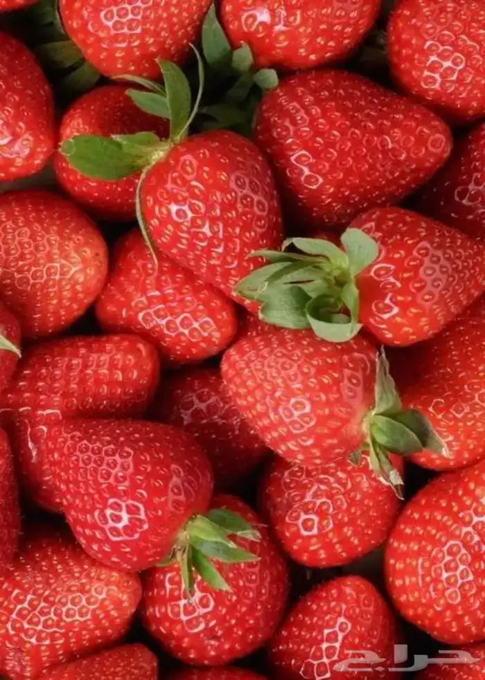 متجر فريش لتوصيل خضار طازجه لباب بيتك 1