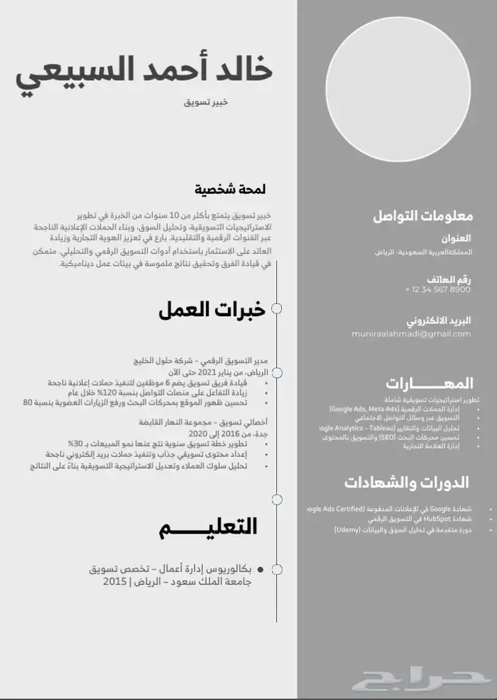 تصميم سيرة ذاتية احترافية 2