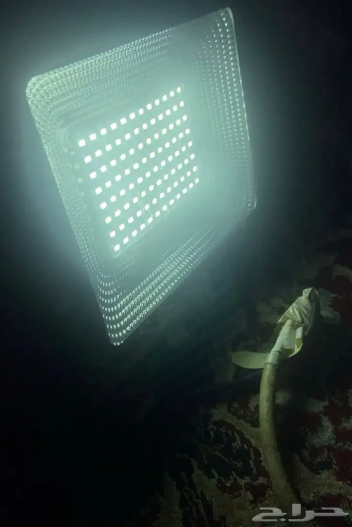 عرض مدخل وكشاف 2