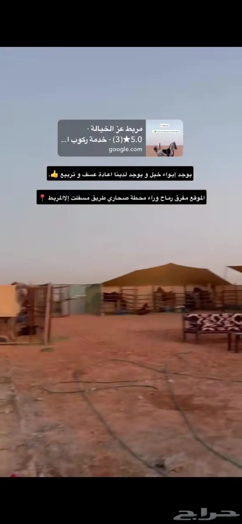 إيواء خيل مفرق رماح 3