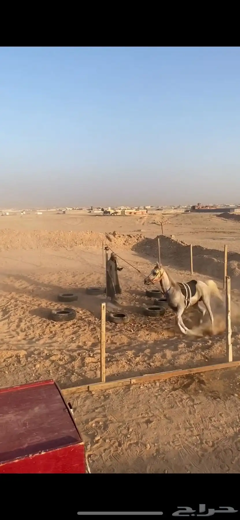 إيواء خيل مفرق رماح 2