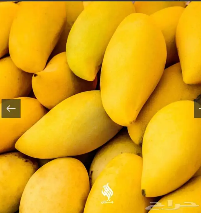 خضار وفواكه. توريد مطاعم. فنادق محلات. سوبرات. صالات 3