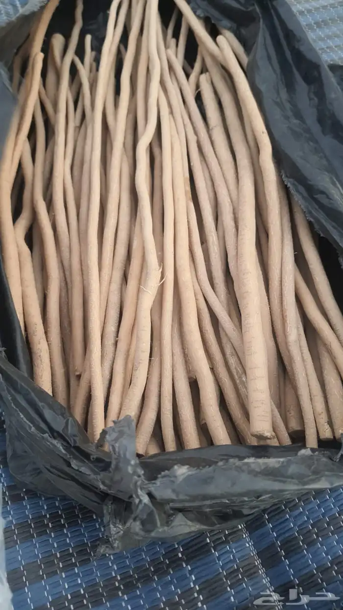 مساويك ابو حنش حار ونقاوه 4