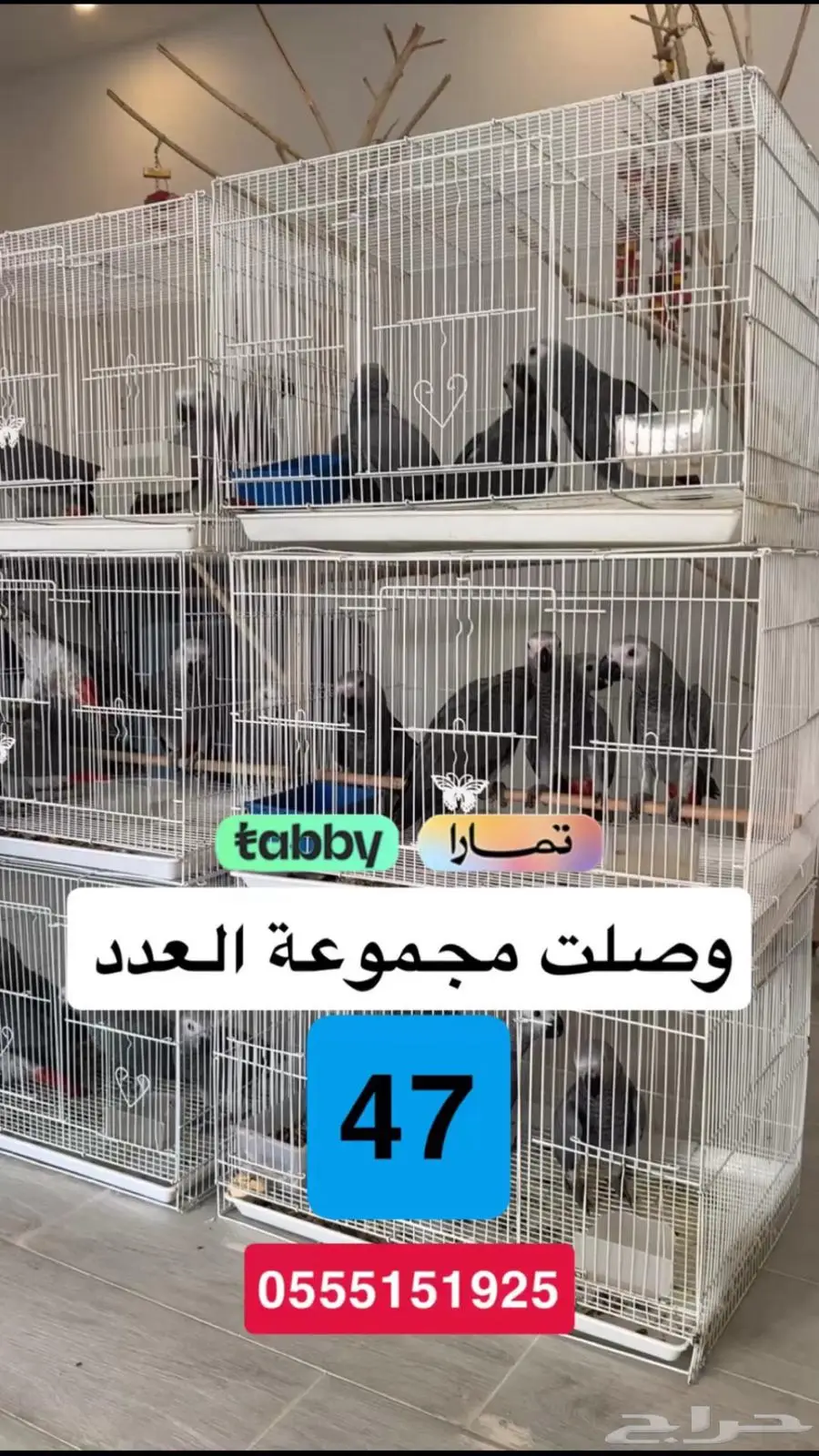 فروخ كاسكو 1