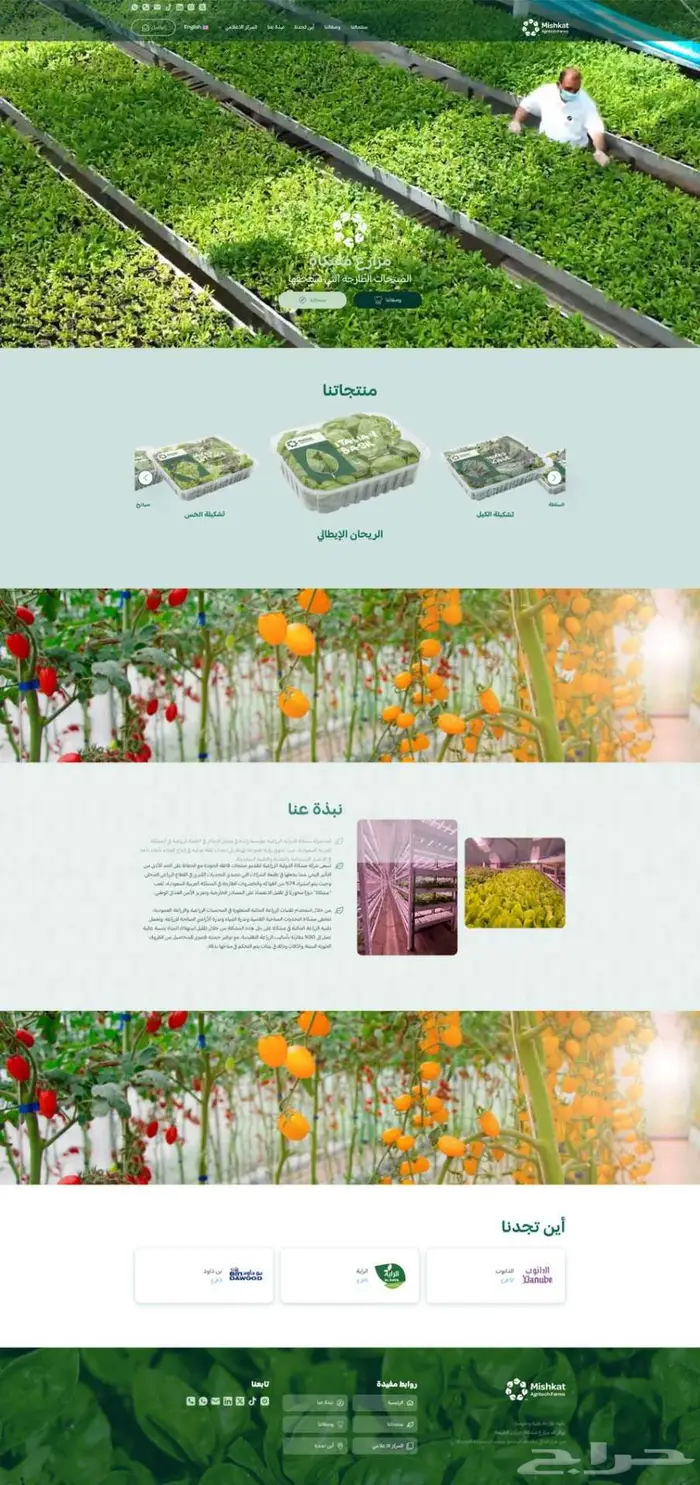 تصميم موقع الكتروني صفحة واحدة خلال 3 ايام 2
