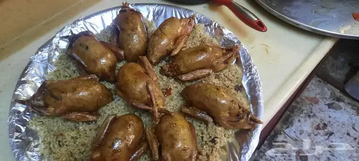 طيور طبخ أكلات 2