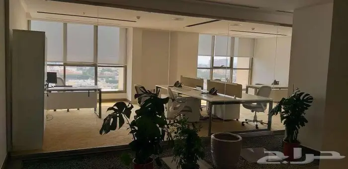 حلول الأثاث المكتبي وتنفيذ المشاريع - Office Furniture - 16