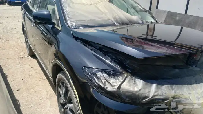 سمكرة بوية رش الفرن بوية الماني ديكسون 2