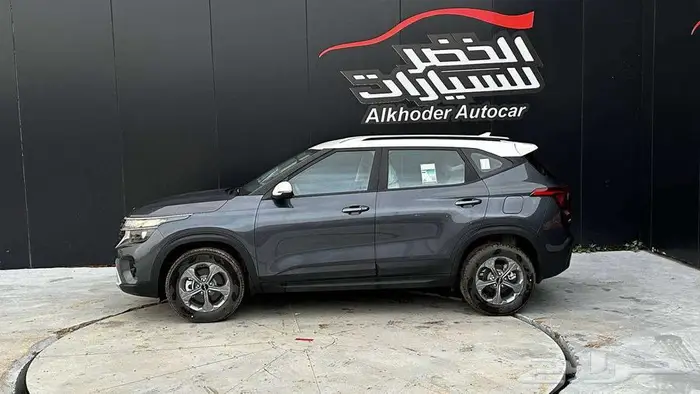 سيلتوس ستاندر مطور 10